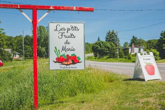 Enseigne de Les P'tits fruits de Marie